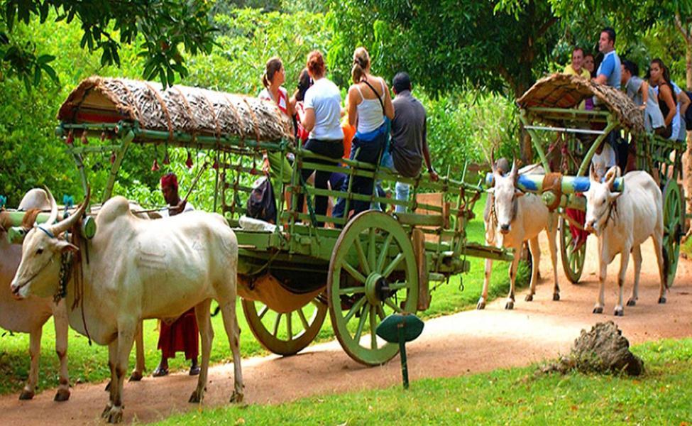 Hidden Lake Cottages Sigiriya Exterior photo